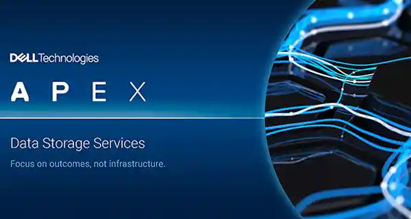 MAPLE FOCUS APEX.webp